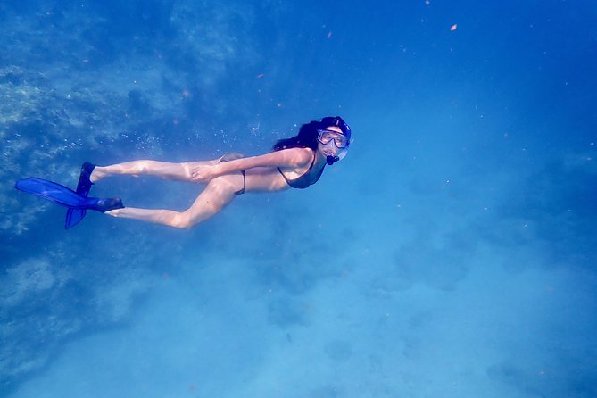 Private Looe Key Snorkel from Big Pine Key - A private reef outing instead of a crowded boat