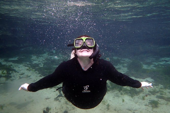 Private 'OG' Manatee Snorkel Tour with Guide for up to 10 people - Why the season can make or break the outing
