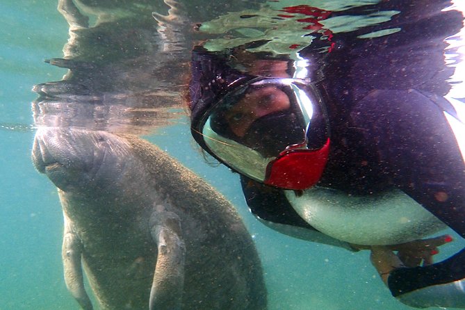 Private 'OG' Manatee Snorkel Tour with Guide for up to 10 people - Photos, wetsuits, and what to bring