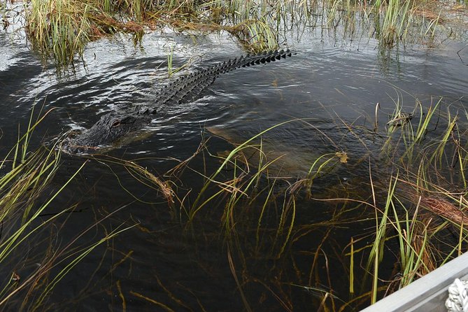 Private Tour: Florida Everglades Airboat Ride and Wildlife Adventure - Sawgrass Recreation Park adds a second half