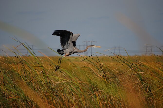 Private Tour: Florida Everglades Airboat Ride and Wildlife Adventure - Practical details that affect the value