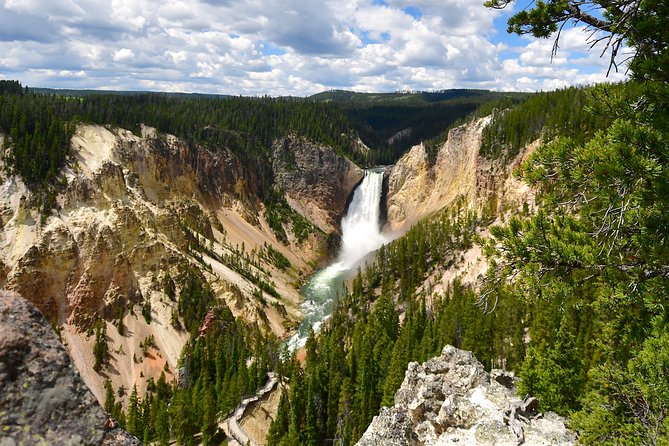 Private Yellowstone Tour: ICONIC Sites, Wildlife, Family Friendly Hikes + lunch - Old Faithful is classic for good reason