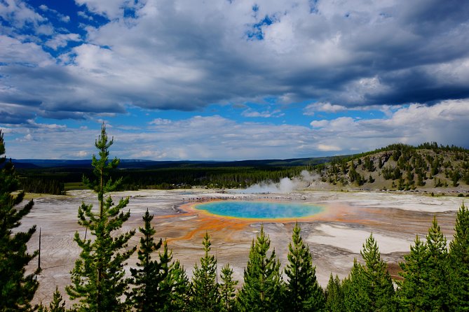 Private Yellowstone Tour: ICONIC Sites, Wildlife, Family Friendly Hikes + lunch - The Grand Canyon and Lower Falls deliver the big view