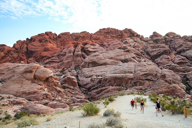 Red Rock Canyon Hike with Transport from Las Vegas - Morning or afternoon: which departure works best?