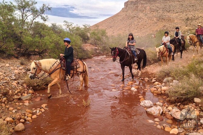 Red Rock Canyon Sunset Horseback Ride and Barbeque Dinner - Booking advice and weather planning
