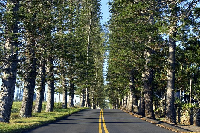 Road to Hana: Full-Day Scenic Drive with Blacksand & Waterfalls - Early views at Ho‘okipa and the north coast