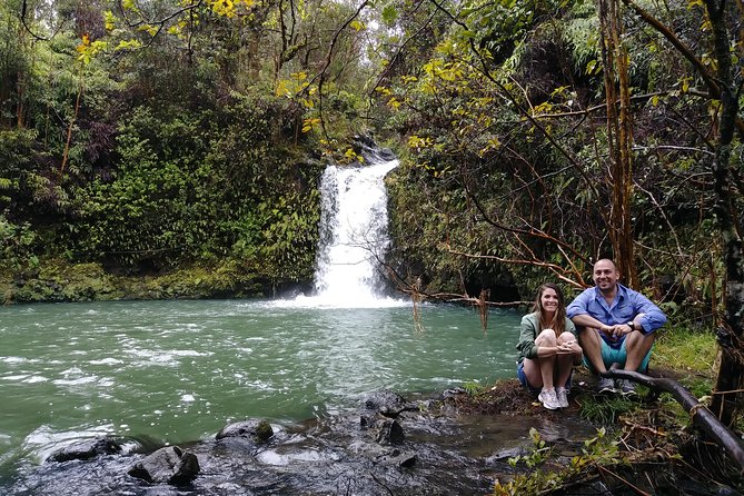 Road To Hana: Maui Waterfall Hiking Tour in Private Jeep - What the guide adds to the experience