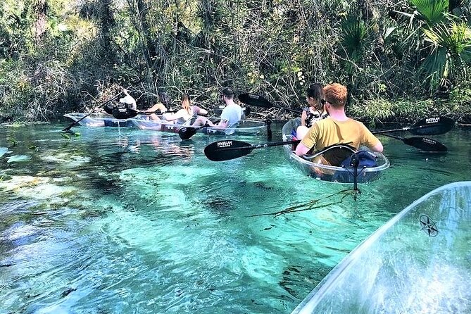 Rock Springs 2-Hour Glass Bottom Guided Kayak Eco Tour - Why Emerald Cut is worth your time