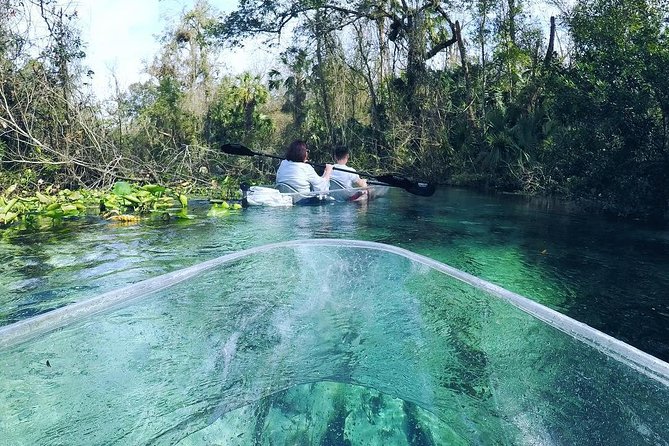 Rock Springs 2-Hour Glass Bottom Guided Kayak Eco Tour - How crowded can Rock Springs get?