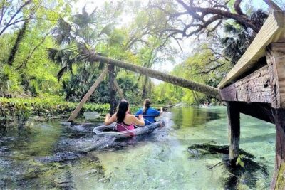 Rock Springs 2-Hour Glass Bottom Guided Kayak Eco Tour