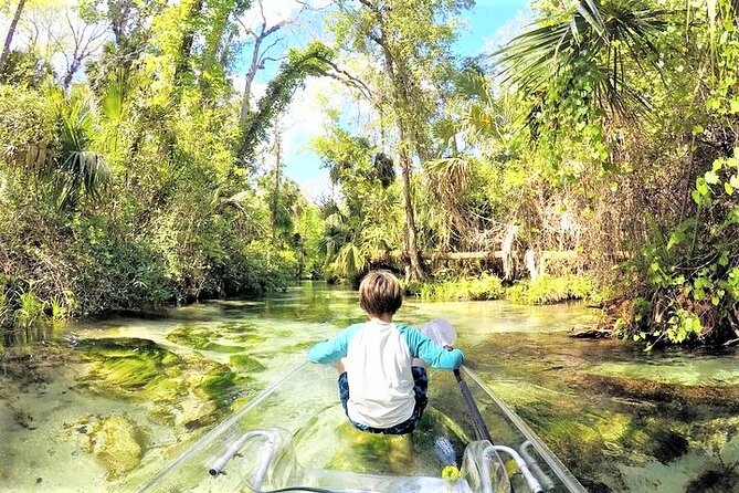 Rock Springs 2-Hour Glass Bottom Guided Kayak Eco Tour - What the $115 price includes