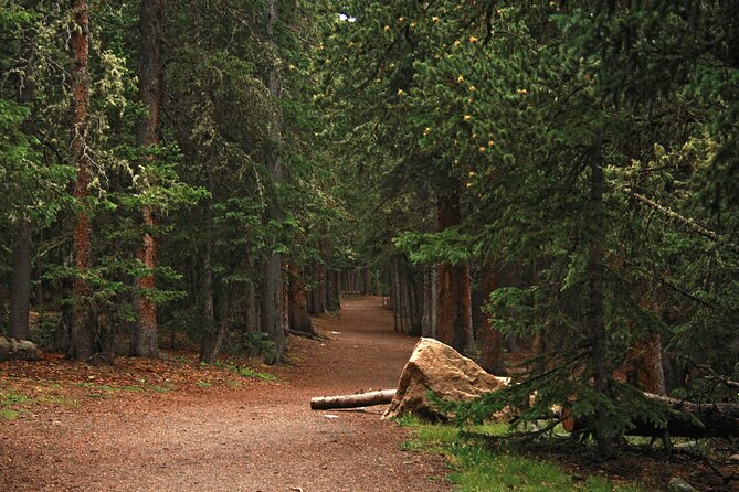 Rocky Mountain Escape - Guides make the difference