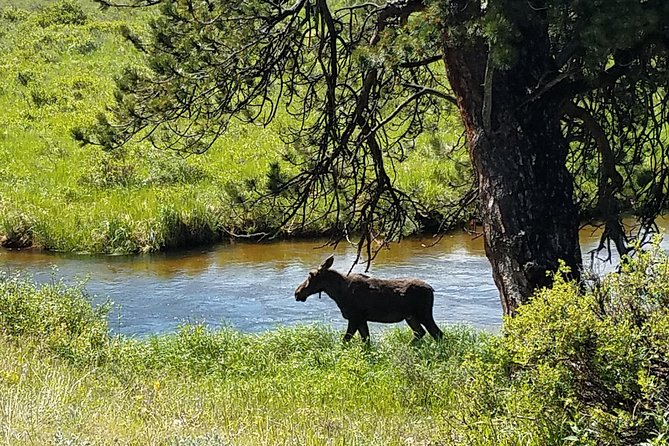 Rocky Mountain National Park and Estes Park Tour from Denver Winter and Spring - Why this Denver day trip works well in winter