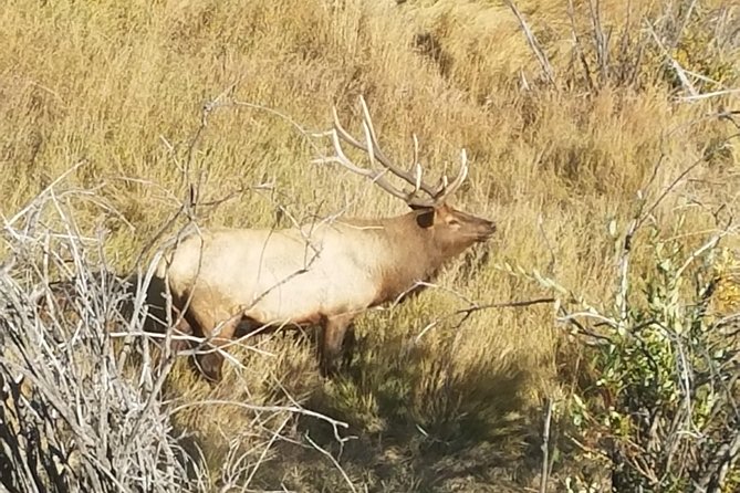 Rocky Mountain National Park and Estes Park Tour from Denver Winter and Spring - Many Parks Curve for the big view