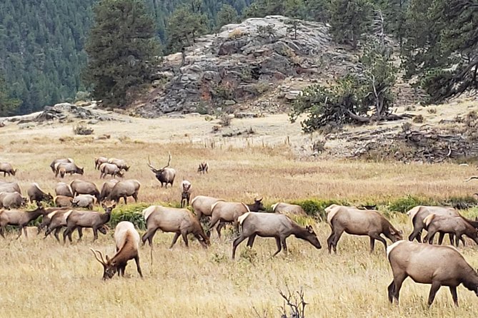 Rocky Mountain National Park and Estes Park Tour from Denver Winter and Spring - From Union Station through Boulder