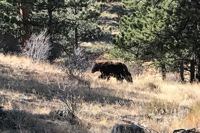 Rocky Mountain National Park in Summer Tour from Denver - Alpine Visitor Center and Milner Pass
