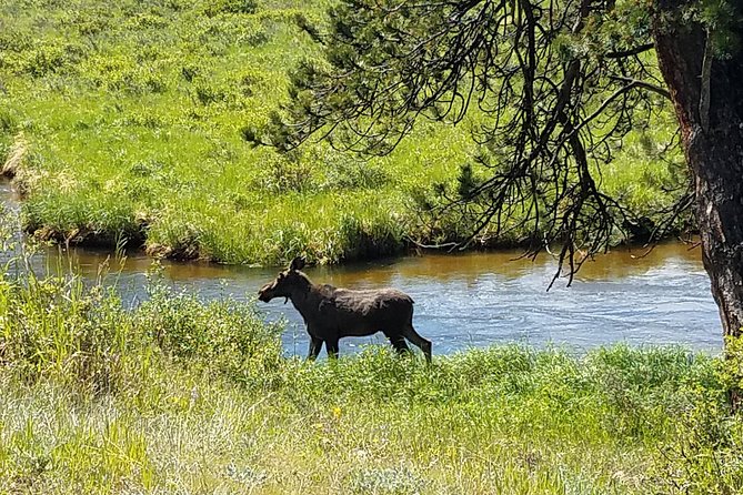 Rocky Mountain National Park in Summer Tour from Denver - Three overlooks, three different views