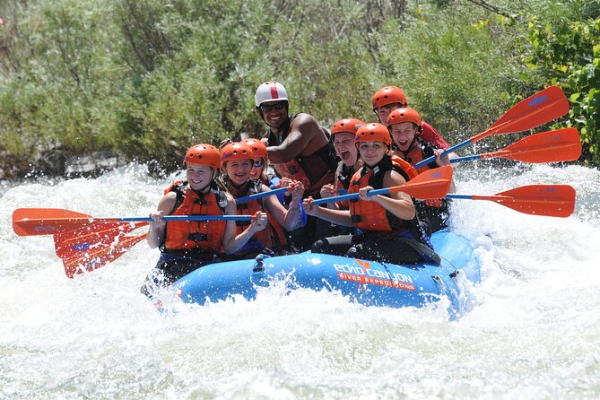 Royal Gorge Half Day Rafting in Cañon City (Free Wetsuit Use) - Working with your guide through Class III and IV rapids