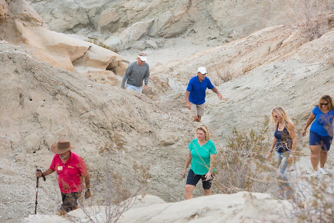 San Andreas Fault Jeep Tour from Palm Desert - Morning or afternoon: choosing the better departure