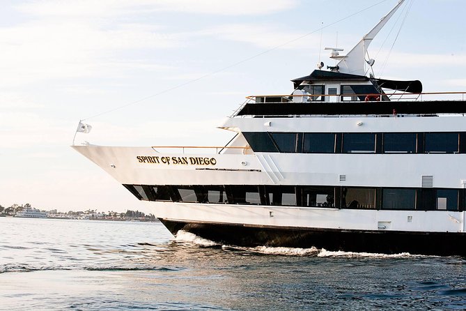 San Diego: Harbor Cruise - Sea Lions and Other Wildlife Along the Route