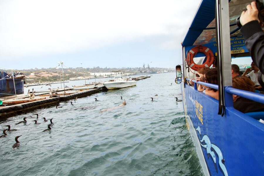 San Diego: SEAL City Tour by Amphibious Bus - Is $55 good value for 100 minutes?