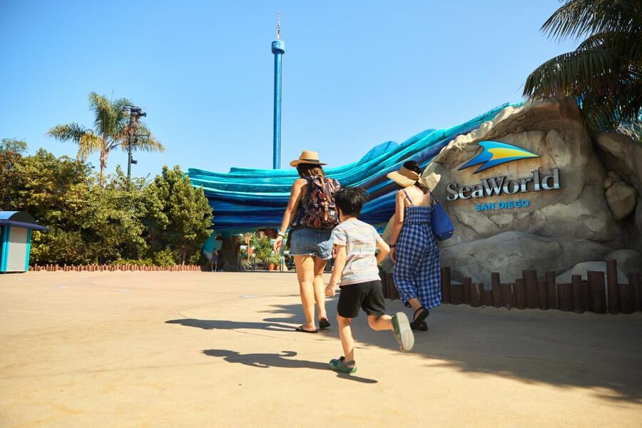 San Diego: SeaWorld Skip-the-Line Park Admission Ticket - What your SeaWorld day actually includes