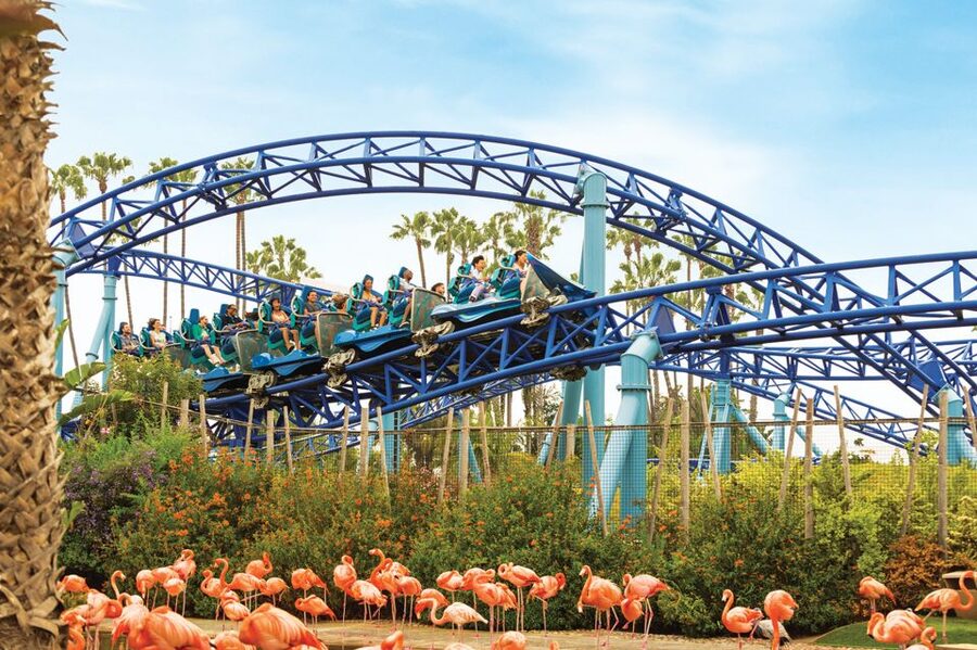San Diego: SeaWorld Skip-the-Line Park Admission Ticket - Sesame Street Bay of Play keeps the youngest visitors busy