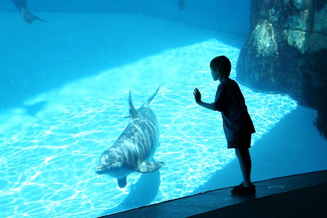 San Diego: SeaWorld Skip-the-Line Park Admission Ticket - Touch pools and interactive exhibits add variety