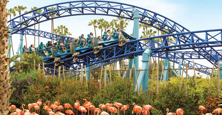 San Diego: SeaWorld Skip-the-Line Park Admission Ticket - Rides for adults, teens, and brave children