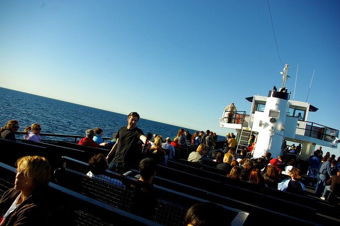 San Diego Whale Watching Cruise - The crew, commentary, and small comforts
