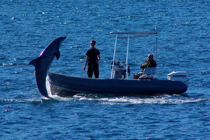 San Diego Whale Watching Cruise - Who should book this sailing