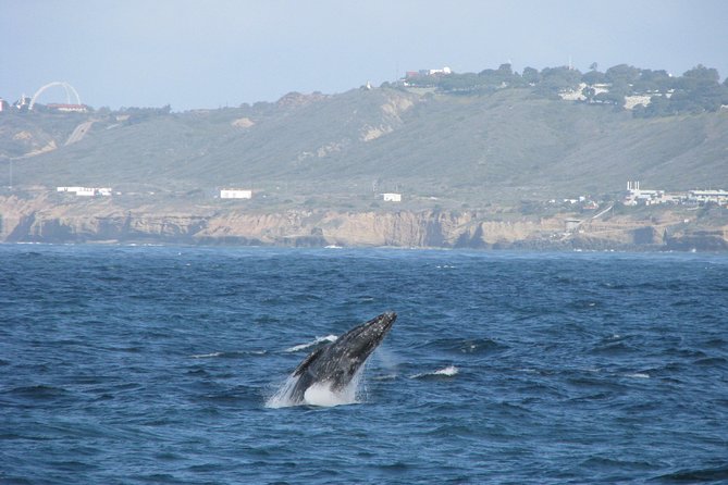 San Diego Whale Watching Cruise - Old Point Loma Lighthouse and the Pacific crossing