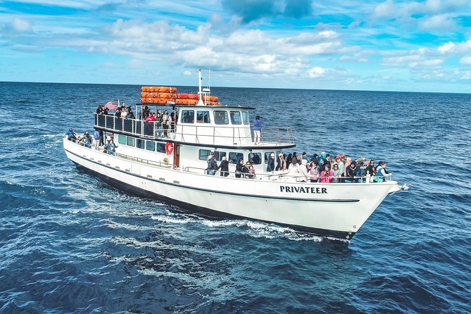 San Diego Whale Watching & Dolphin Cruise - What it feels like aboard