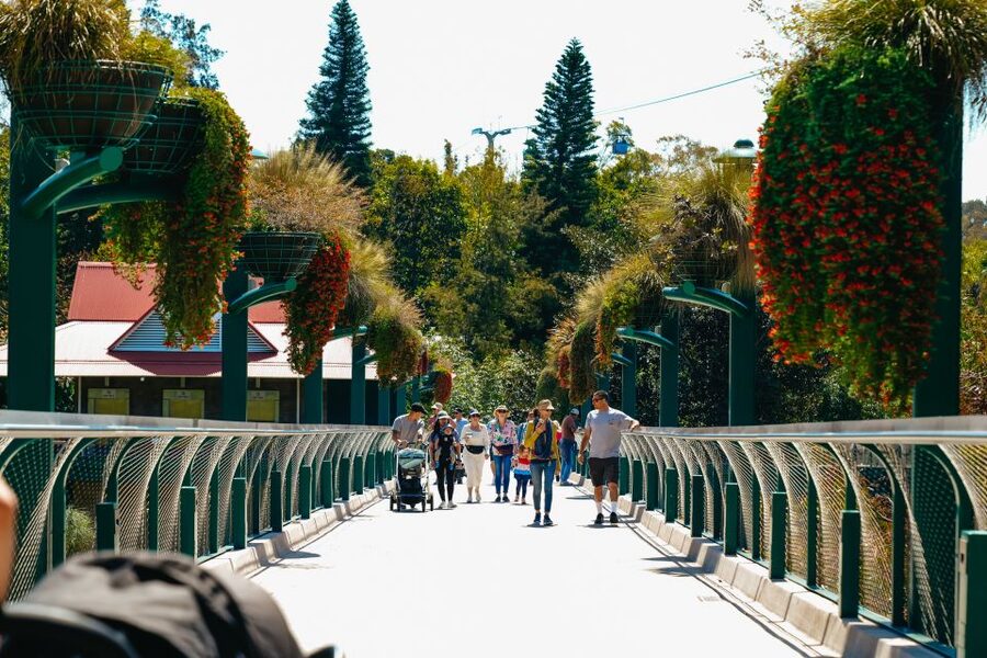San Diego Zoo: 1-Day Admission Ticket - Polar Bear Plunge brings the Arctic close