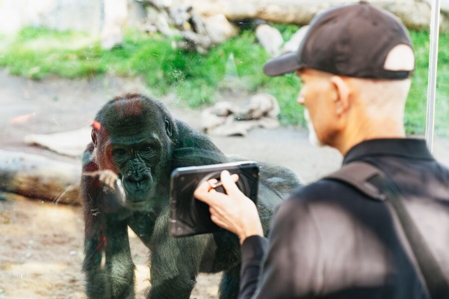 San Diego Zoo: 1-Day Admission Ticket - Elephant Odyssey connects past and present