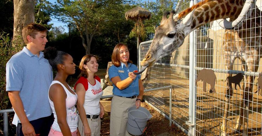 San Diego Zoo: 1-Day Admission Ticket - Getting inside and finding your bearings