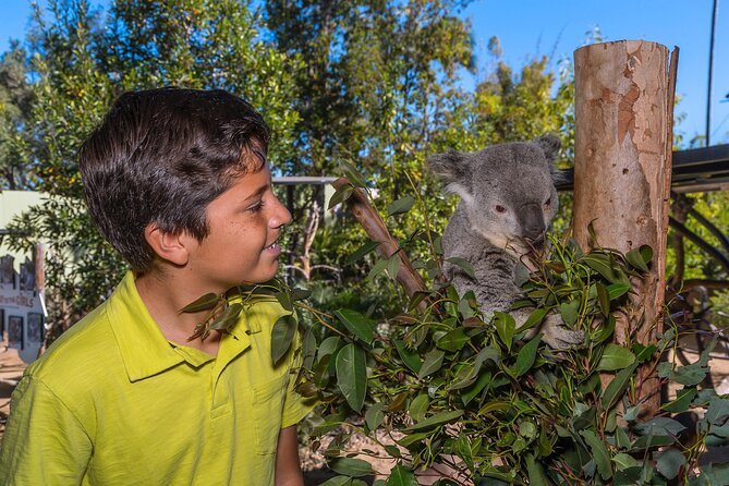 San Diego Zoo 1-Day Pass: Any Day Ticket - Keeper talks and the value beyond the exhibits