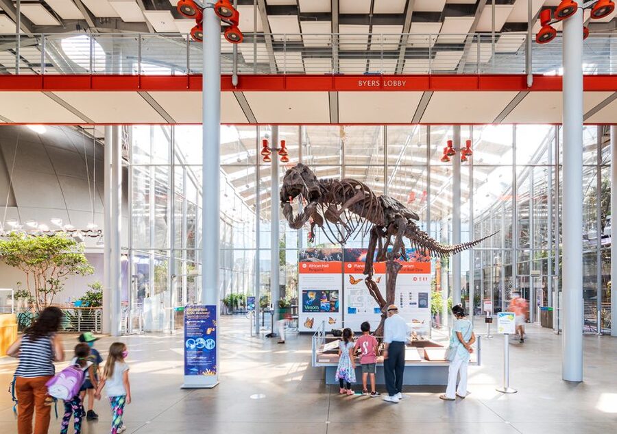San Francisco: California Academy of Sciences Entry Ticket - Key points to know before you go