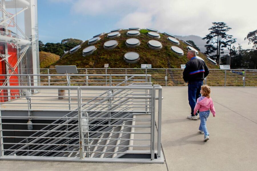 San Francisco: California Academy of Sciences Entry Ticket - Sitting beneath the Morrison Planetarium