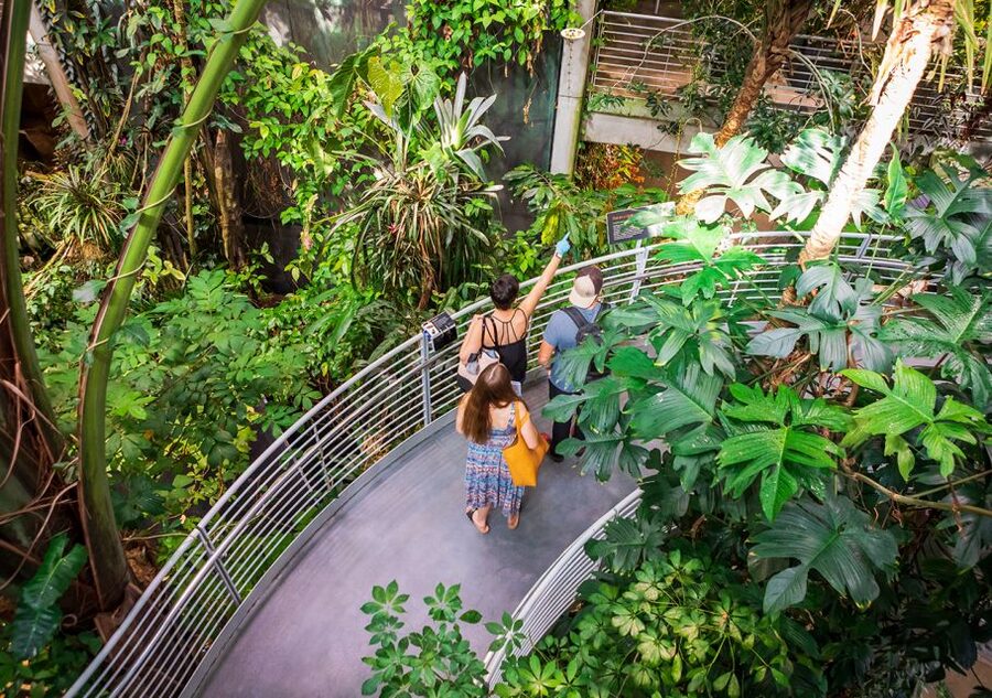 San Francisco: California Academy of Sciences Entry Ticket - Food, cost, and how long to stay