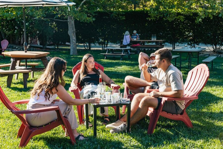 San Francisco: Half-Day Wine Country Excursion with Tastings - Who Should Book This Tour