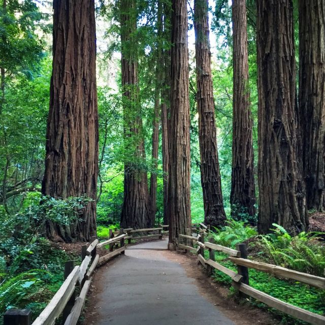 San Francisco: Hop-On Hop-Off Sightseeing Tour with 17 Stops - One day or two days?