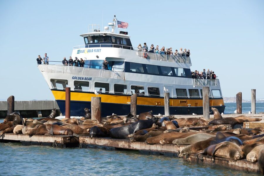 San Francisco: Inside Alcatraz Tour with Bay Cruise - Who will enjoy this tour most?