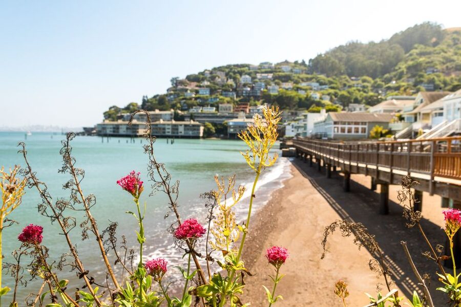 San Francisco: Muir Woods and Sausalito Half-Day Trip - Should you book it?