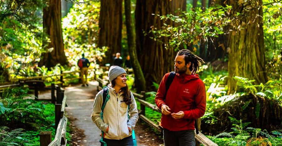 San Francisco: Muir Woods and Sausalito Half-Day Trip - The Golden Gate Bridge photo stop