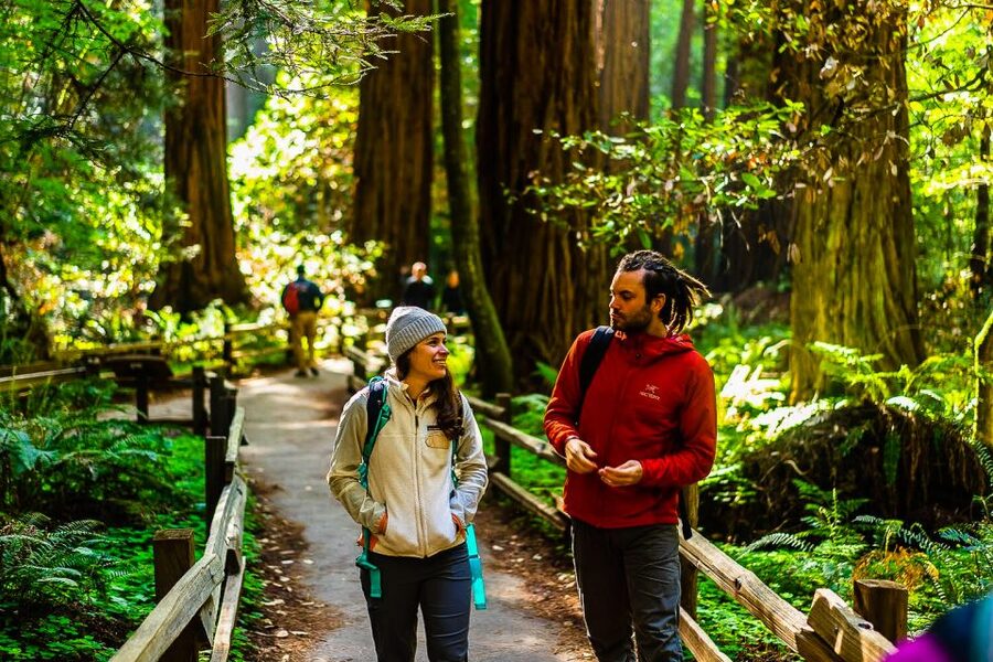 San Francisco: Muir Woods and Sausalito Half-Day Trip - Who will enjoy this half-day trip?