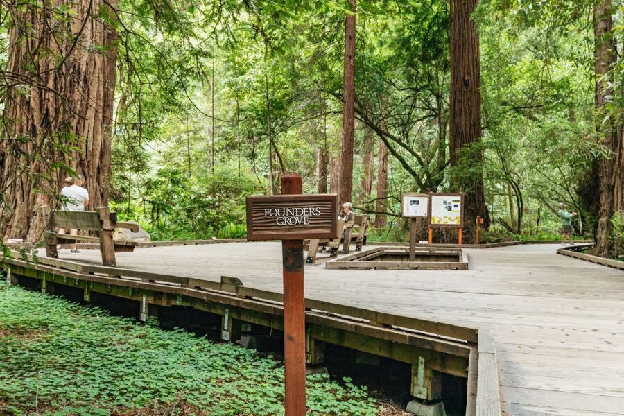 San Francisco: Muir Woods and Sausalito Small-Group Tour - Price, group size, and the real value