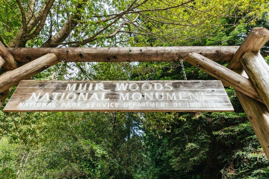 San Francisco: Muir Woods and Sausalito Small-Group Tour - Sausalito for one hour
