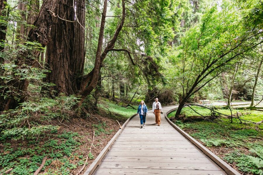 San Francisco: Muir Woods, Napa & Sonoma Valley Wine Tour - Final verdict