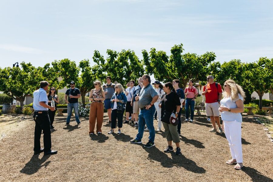 San Francisco: Muir Woods, Napa & Sonoma Valley Wine Tour - Why this tour works as a one-day escape